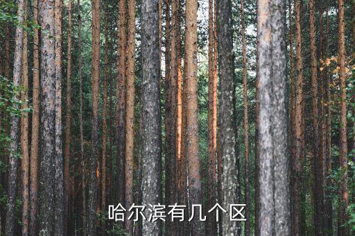 道外區,哈爾濱有哪些區?