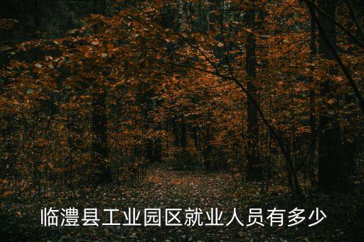 臨澧縣工業(yè)園區(qū)就業(yè)人員有多少