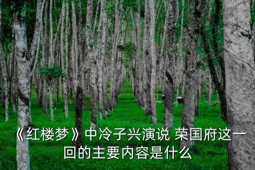 《紅樓夢》中冷子興演說 榮國府這一回的主要內容是什么