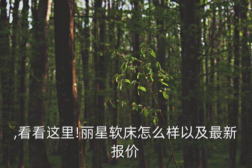 麗星,看看這里!麗星軟床怎么樣以及最新報價
