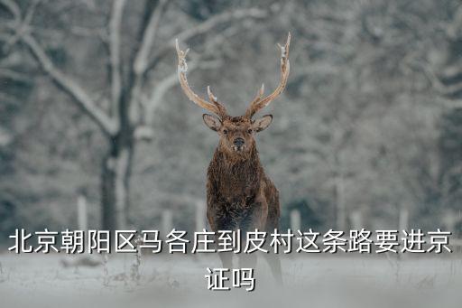 北京朝陽區馬各莊到皮村這條路要進京證嗎