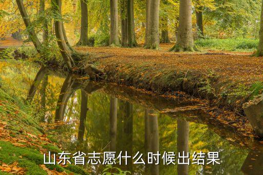 山東高考錄取查詢時間,2023山東高考第二批次錄取時間公布