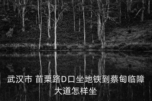 武漢市 苗栗路D口坐地鐵到蔡甸臨障大道怎樣坐
