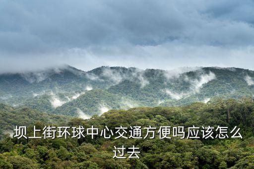 壩上街,《壩上街》電視連續(xù)劇以合肥改革開放30年巨大變遷為題