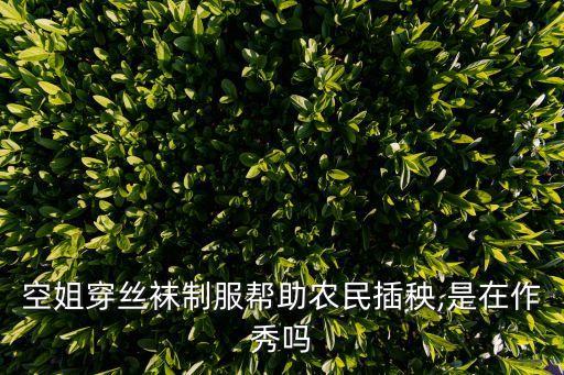 插秧節(jié),中華拓荒人計(jì)劃插秧節(jié)特殊插秧隊(duì)登場