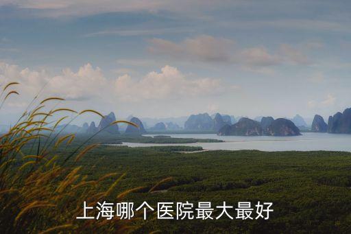 上海十大醫院排名,上海十大中醫院排名出爐!