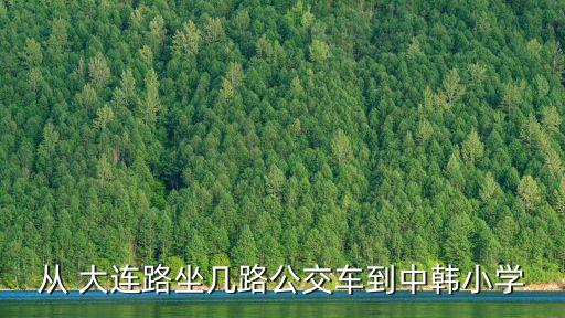 從 大連路坐幾路公交車到中韓小學(xué)