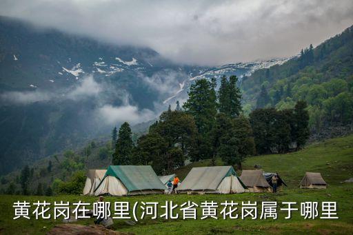 黃花崗烈士陵園,國慶節到廣州花崗烈士陵園有什么要求?