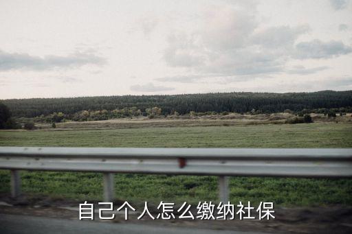 社保個(gè)人怎么交,怎么給自己交社保?