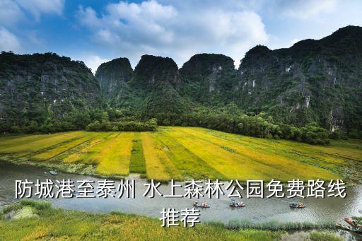 水上森林公園,水上森林公園什么時候可以游玩?
