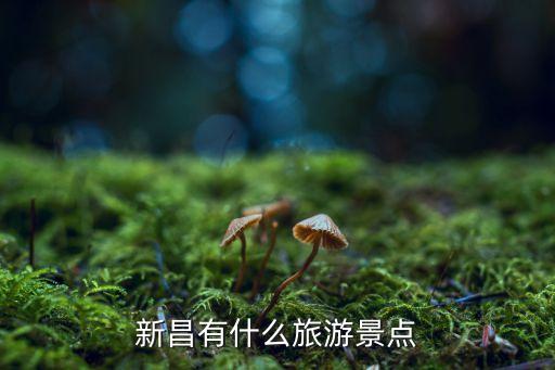 新昌旅游景點大全,新昌網紅花海攻略旅游景點推薦