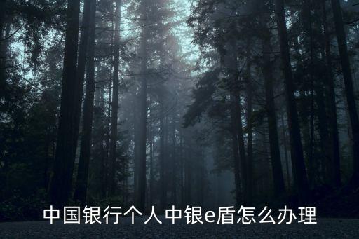 E盾,中國銀行u盾怎么開?