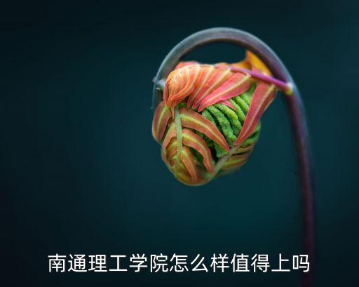 南通理工大學(xué),南通理工學(xué)院怎么樣?
