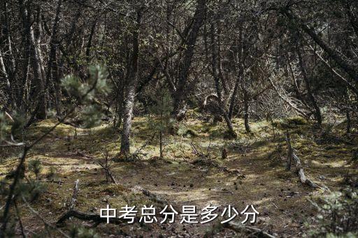 中考一共多少分,中考查分網:河北中考總分750分