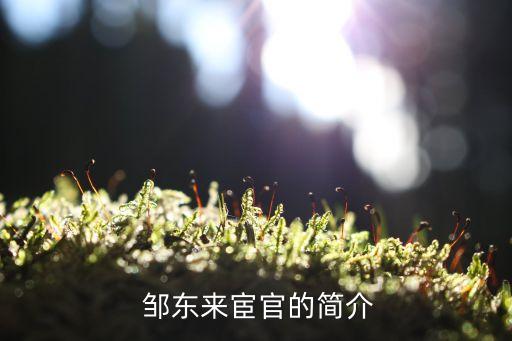 鄒東,山東聊城東魯街道下轄村委會有哪些?