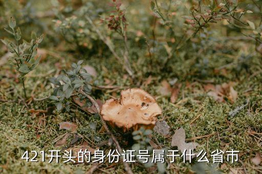 420321,身份證號碼從哪里算起?