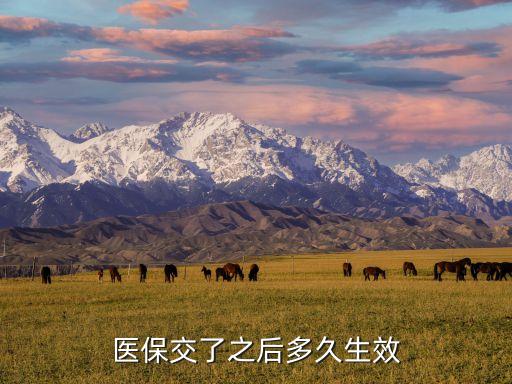 醫(yī)保交了之后多久生效