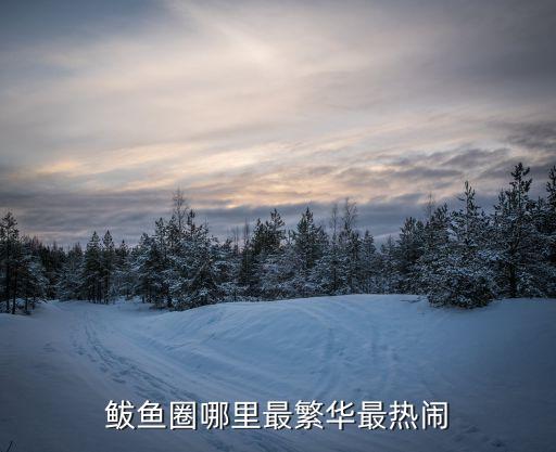 鲅魚圈在哪,逛魚圈最熱鬧的地方有哪些?