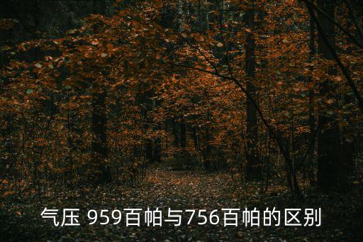 959,姚記990和959哪個(gè)好?看看這里!