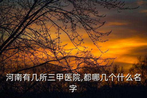 河南有幾所三甲醫(yī)院,都哪幾個(gè)什么名字
