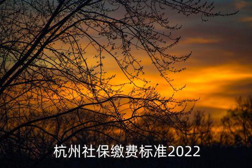 杭州社保,杭州怎么自己交社保?