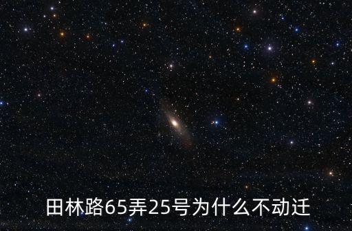 田林路,田林路90弄到潤苑大酒樓
