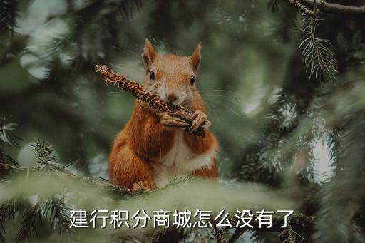 中國建設銀行信用卡商城,中國建行發行的信用卡都以龍卡冠名