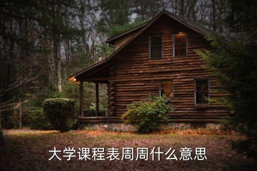 課表,大學課程表