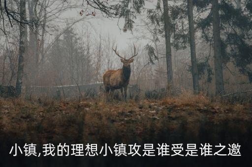 希望小鎮,我的理想小鎮攻是誰受是誰之邀