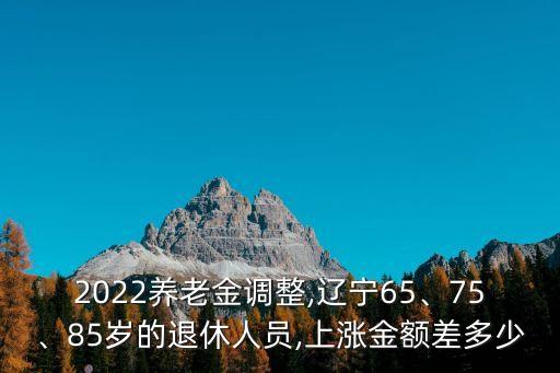 遼寧退休金調整,遼寧退休養老金上調哪些細節出爐?