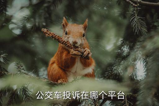 公交車(chē)投訴,公交車(chē)發(fā)車(chē)不準(zhǔn)時(shí)可以投訴嗎?