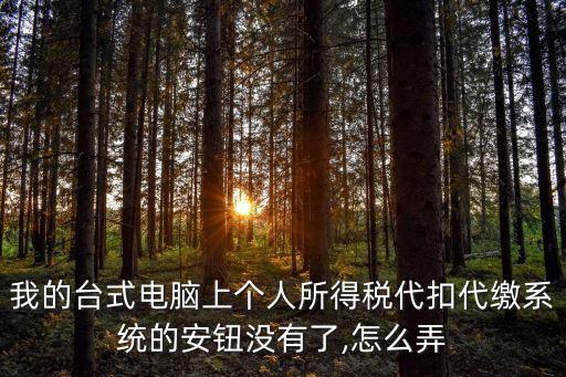 我的臺式電腦上個人所得稅代扣代繳系統的安鈕沒有了,怎么弄
