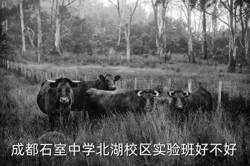 武侯區(qū)圖書(shū)館,武侯實(shí)驗(yàn)中學(xué)好不好?投入8000多萬(wàn)元巨資修建的學(xué)校
