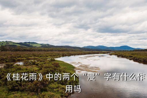 開封明天有雨嗎,開封河大夜市下雨天開放嗎?一般情況下不會(huì)開放