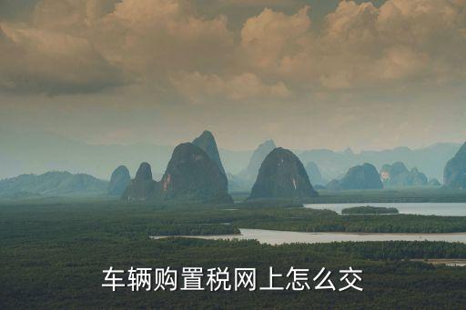 海南省電子稅務局,海南省電子稅務局開了發票后多久能拿錢?