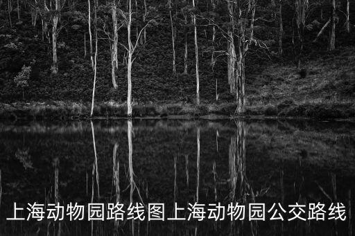 乘車線路查詢,國外車次路線查詢