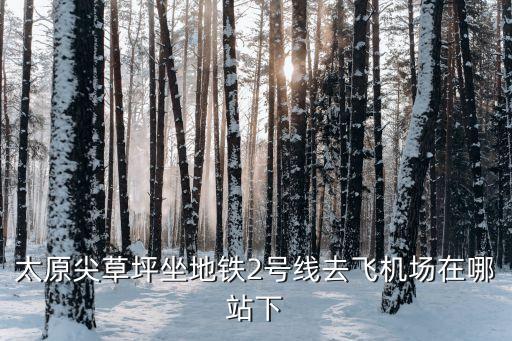 太原地鐵2號線,太原地鐵有哪條線?