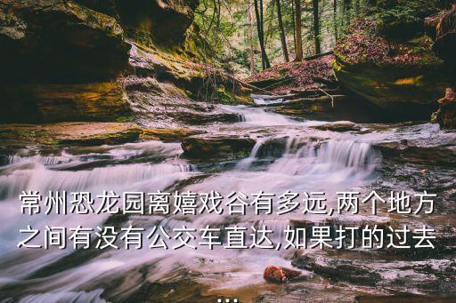 常州恐龍園離嬉戲谷有多遠(yuǎn),兩個(gè)地方之間有沒有公交車直達(dá),如果打的過去...