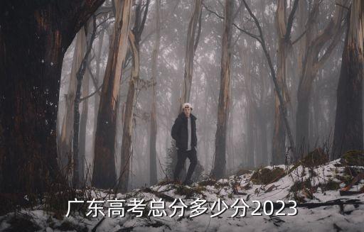 廣東高考總分多少分2023