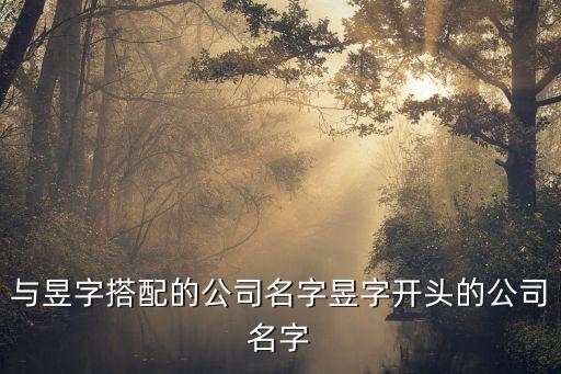昱升,公司取名要注意哪些事項?