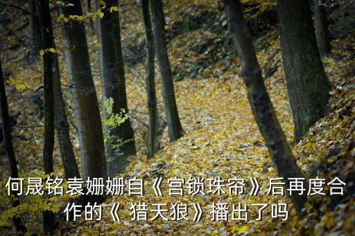 獵天狼,為什么手機看不了電視劇獵天狼?
