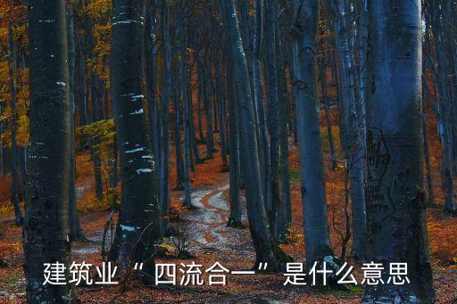 建筑業“ 四流合一”是什么意思