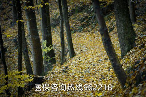 醫保中心咨詢電話,南寧醫保中心咨詢電話多少?