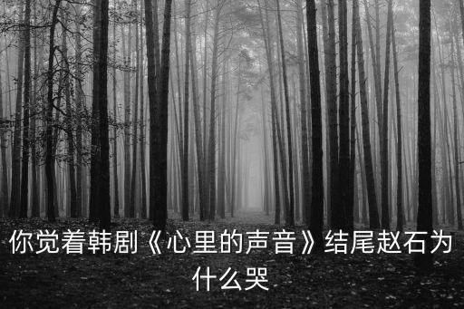 你覺著韓劇《心里的聲音》結尾趙石為什么哭