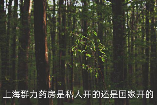 上海群力藥房是私人開的還是國家開的