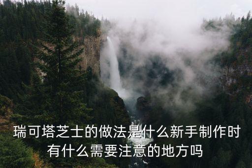 瑞可,瑞可塔芝士怎么做好吃不膩