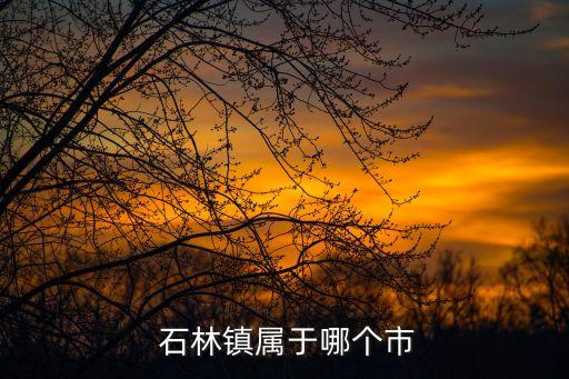  石林鎮(zhèn)屬于哪個(gè)市