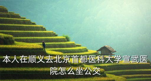 宣武醫院地址,北京宣武醫院怎么坐?