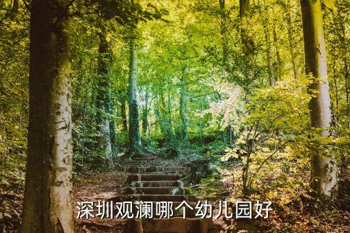 深圳觀瀾哪個幼兒園好
