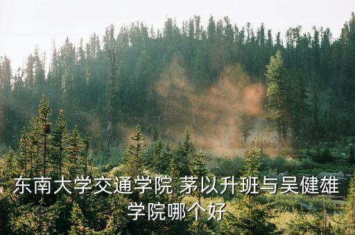 東南大學交通學院 茅以升班與吳健雄學院哪個好